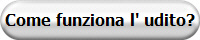 Come funziona l' udito?